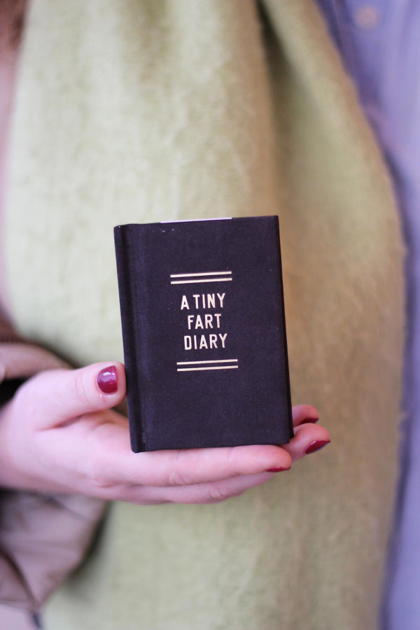 A Tiny Fart Diary