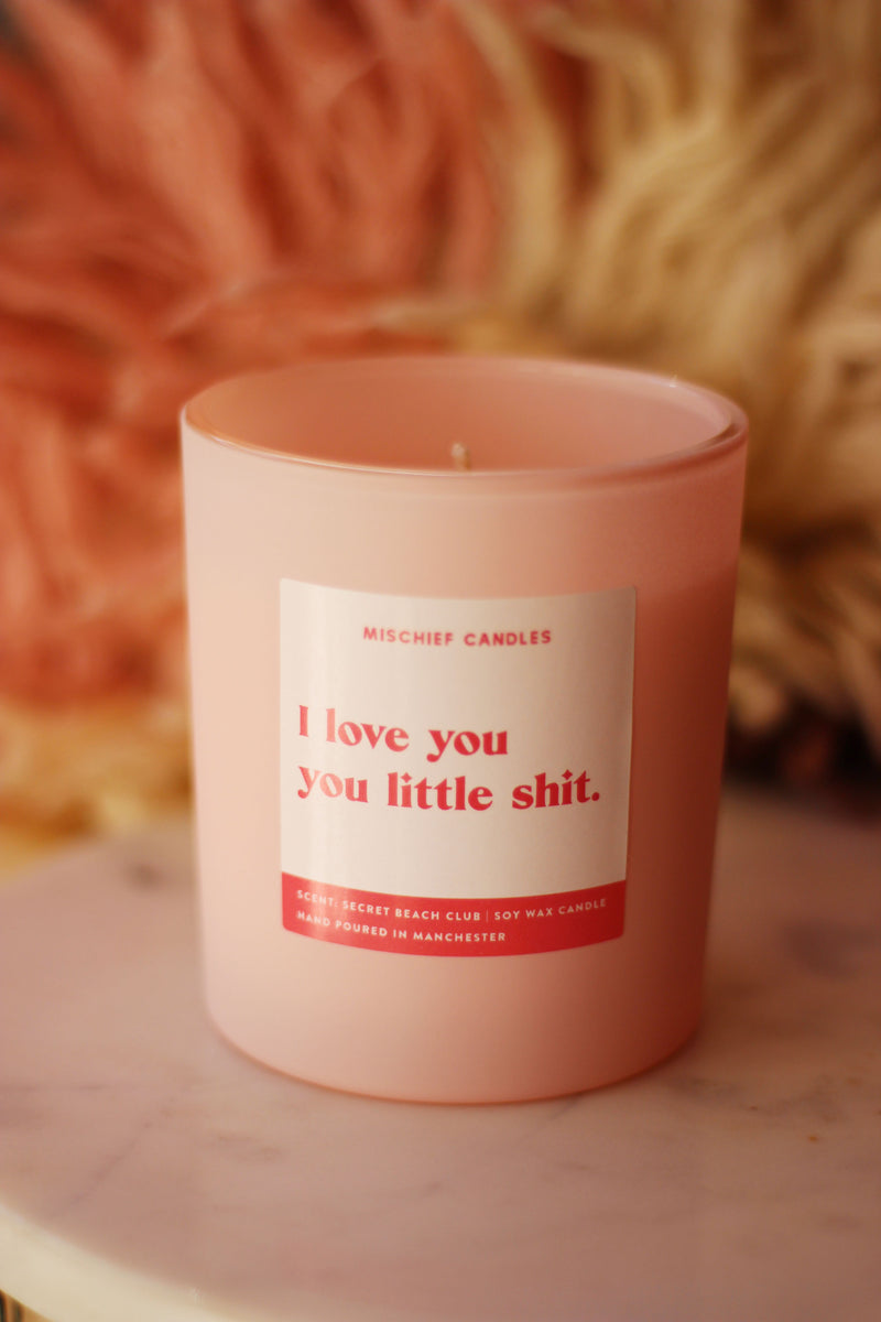 I Love You Little Shit Funny Candle