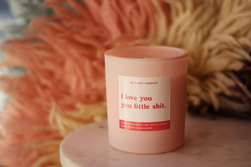 I Love You Little Shit Funny Candle