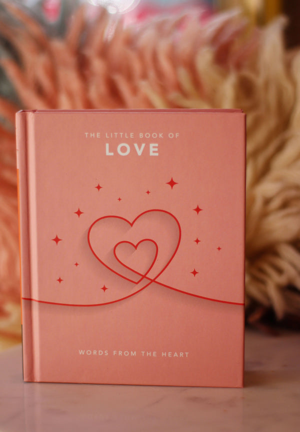 LITTLE BOOK OF LOVE BOOK