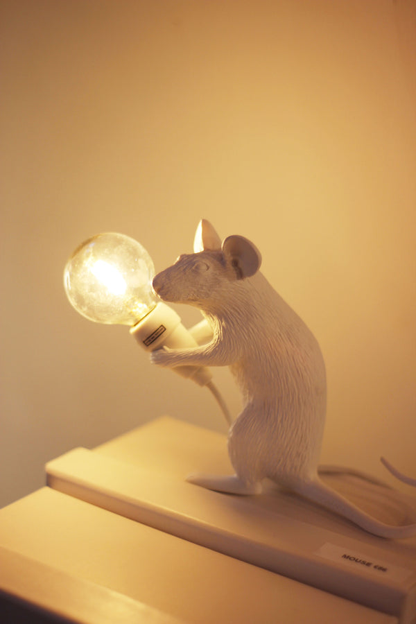 Mouse Mac Sitting USB Lamp