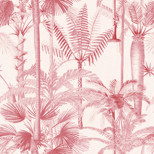 Palmera Cubana Wallpaper